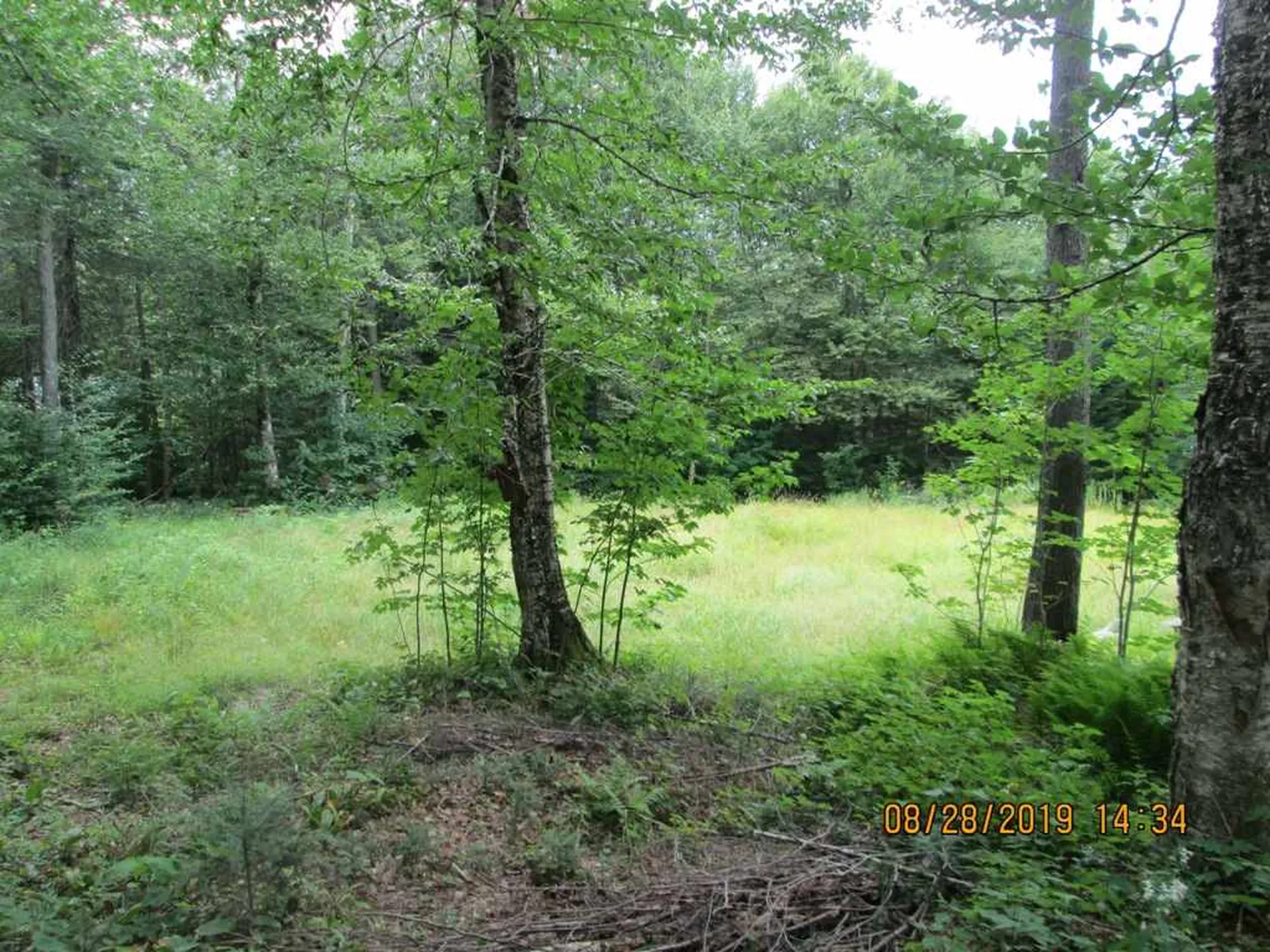 144 Loop Road Averill VT 05901