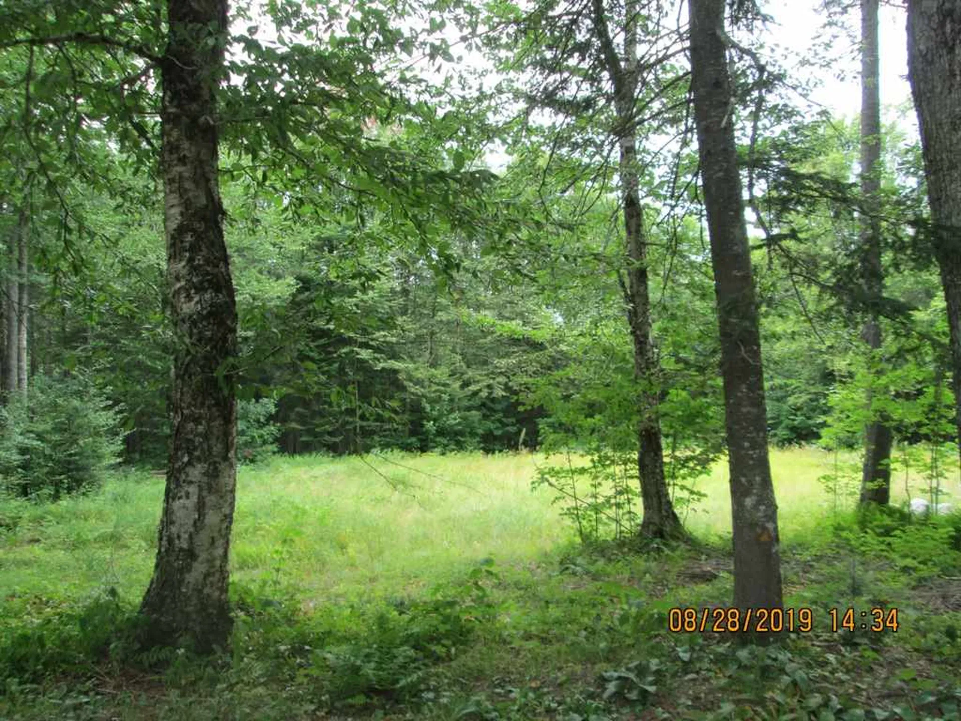 144 Loop Road Averill VT 05901