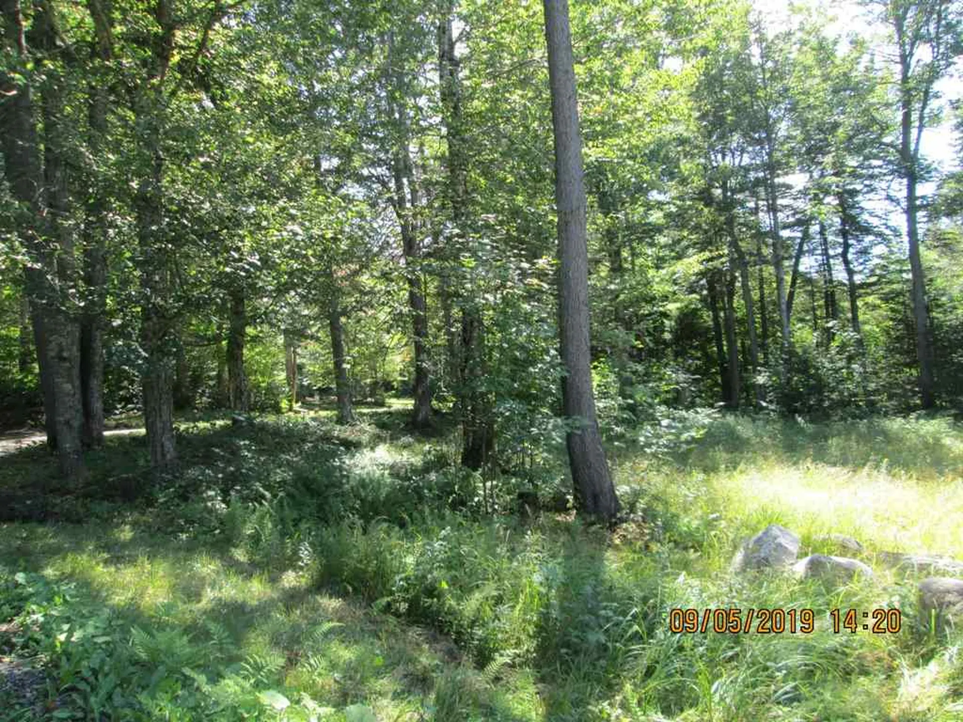 144 Loop Road Averill VT 05901