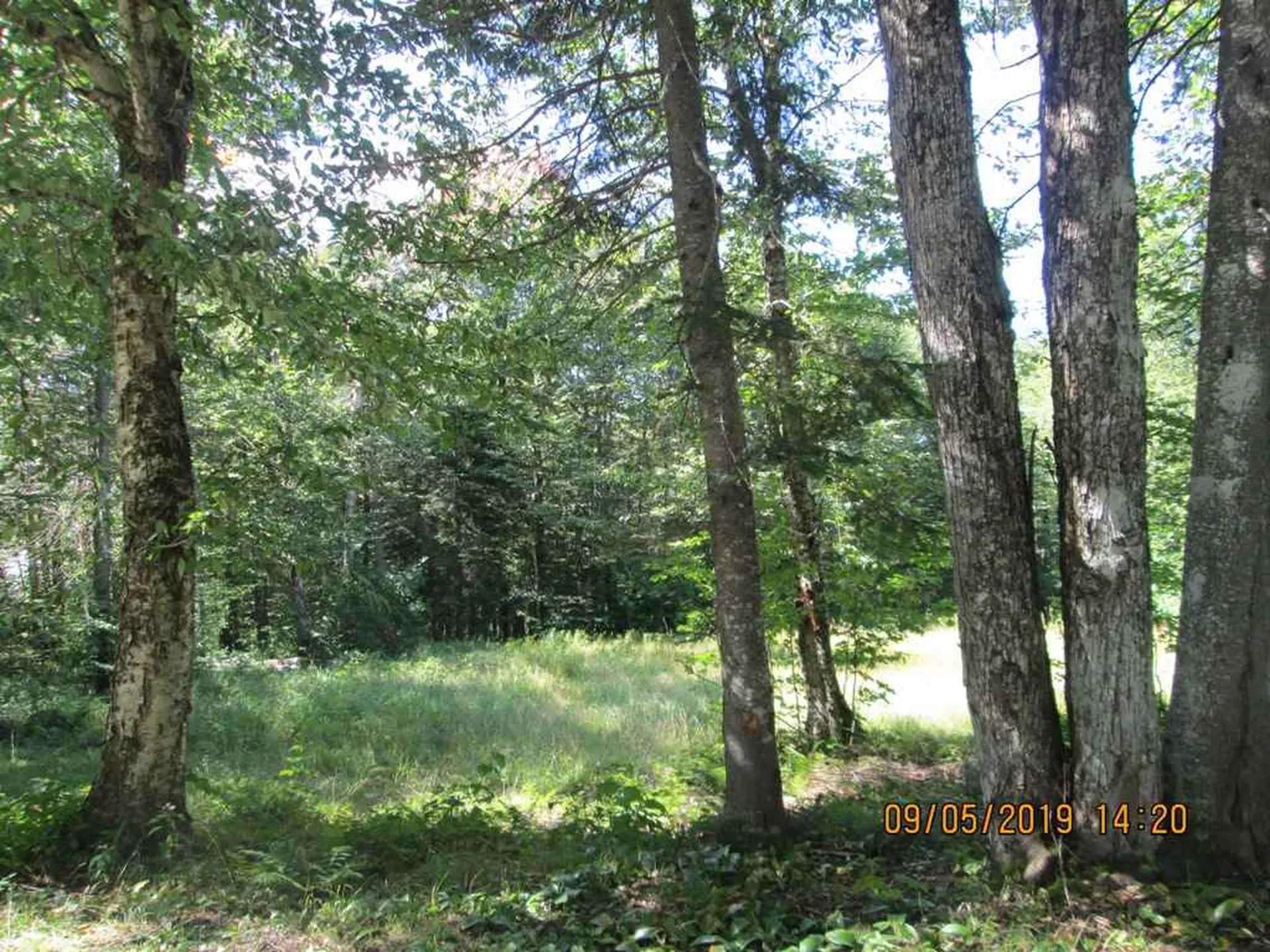 144 Loop Road Averill VT 05901