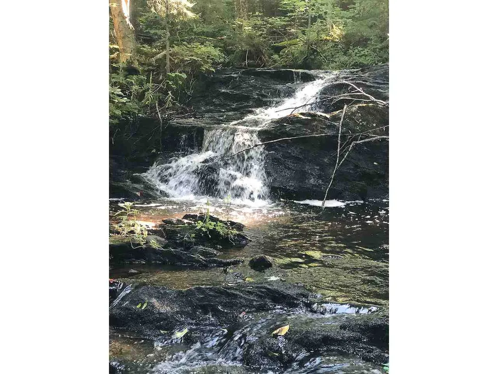 348 Sam Stokes Road Starksboro VT 05487