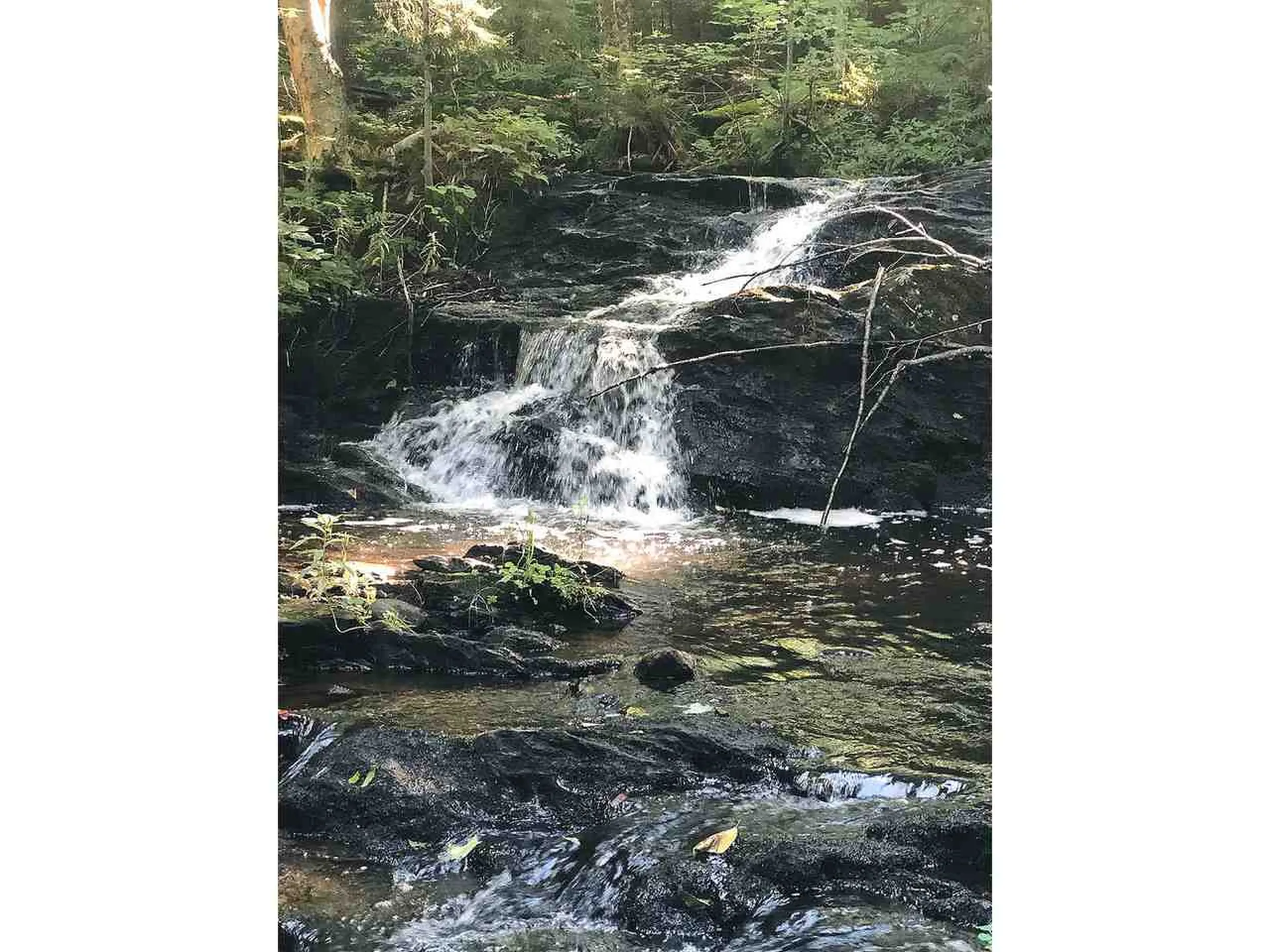 348 Sam Stokes Road Starksboro VT 05487