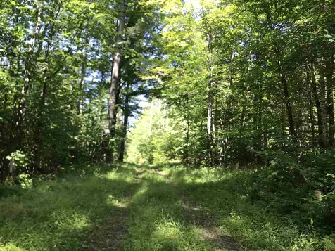 5076 Jacksonville Stage Road Halifax VT 05358