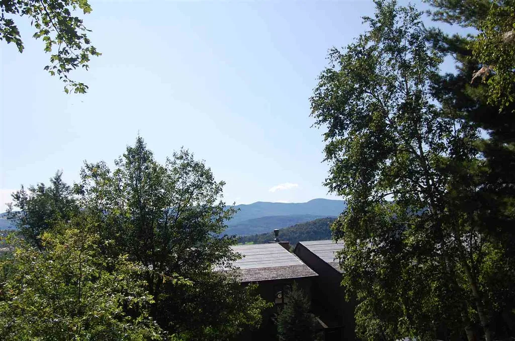 163 Upper Summit Road Warren VT 05674