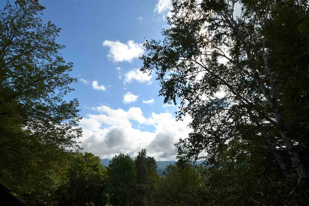 163 Upper Summit Road Warren VT 05674