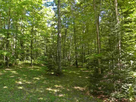 214 Town Farm Road Sheffield VT 05866