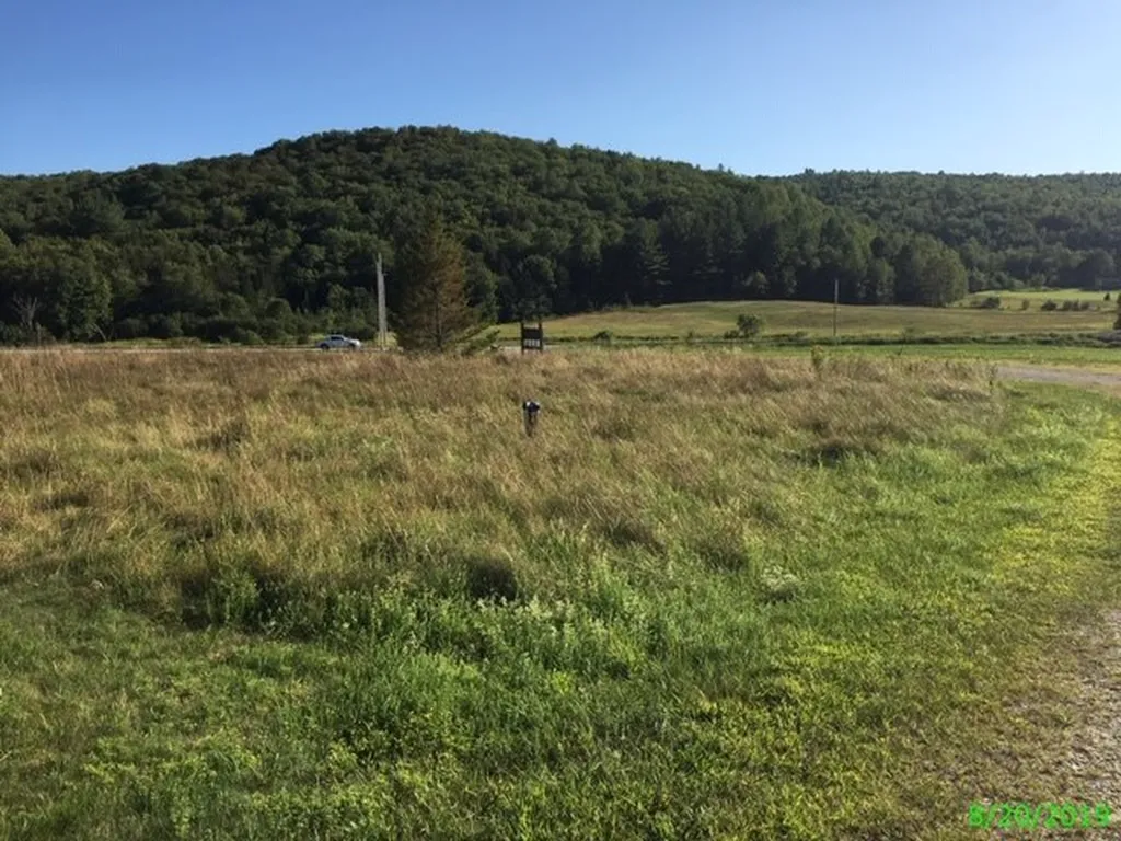60 Fisher Bridge Road Wolcott VT 05680