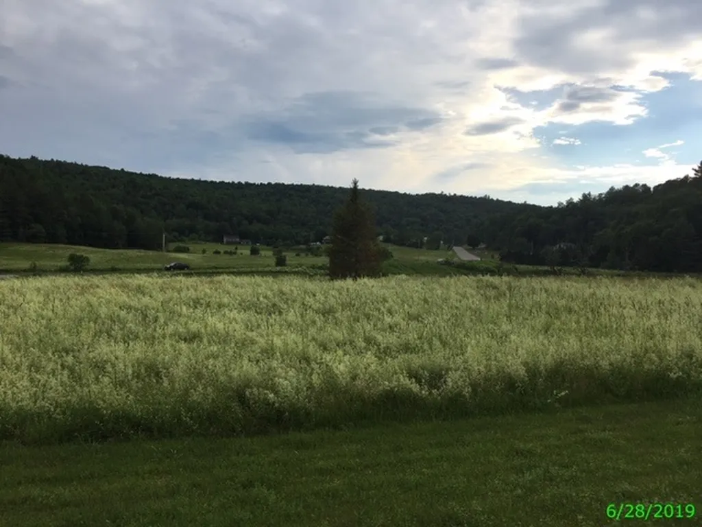 60 Fisher Bridge Road Wolcott VT 05680