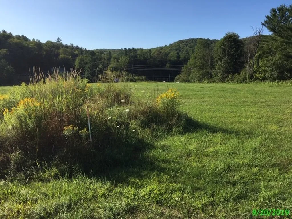 60 Fisher Bridge Road Wolcott VT 05680