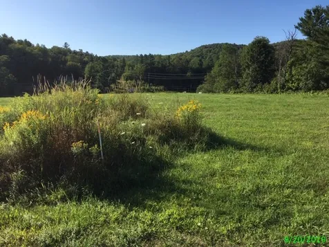 60 Fisher Bridge Road Wolcott VT 05680