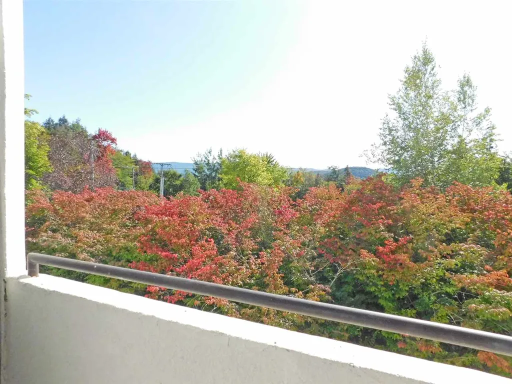 206 Village Gate Drive Warren VT 05674