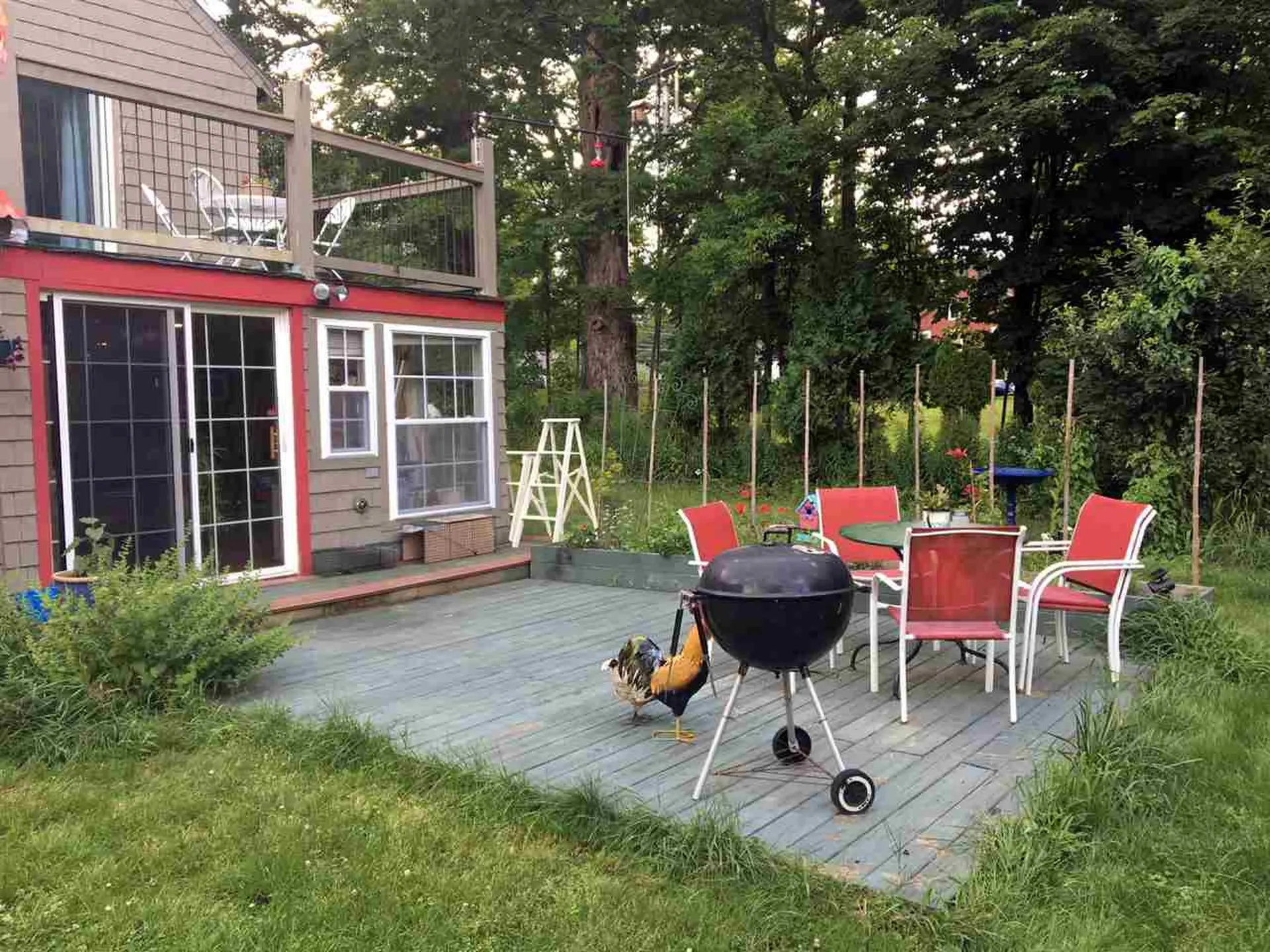 495 North Main Street Wolfeboro NH 03894