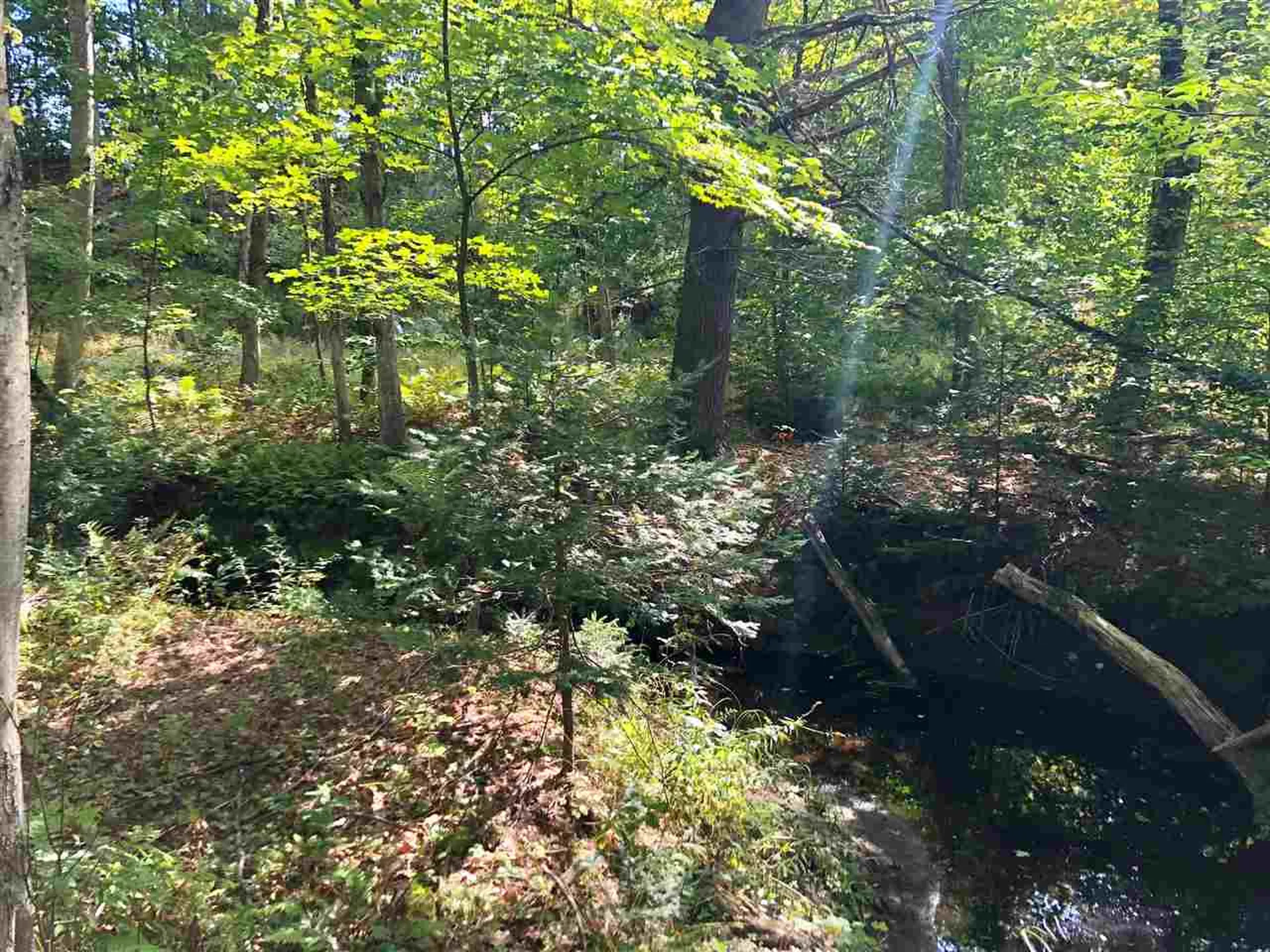 1401 Quincy Road Rumney NH 03266