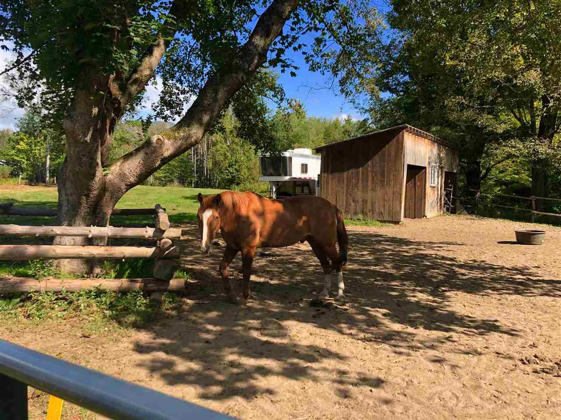 1401 Quincy Road Rumney NH 03266