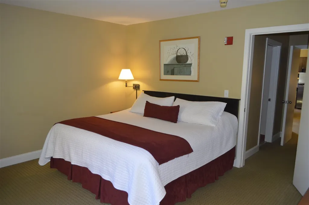 101, 1 89 Grand Summit Way Dover VT 05356
