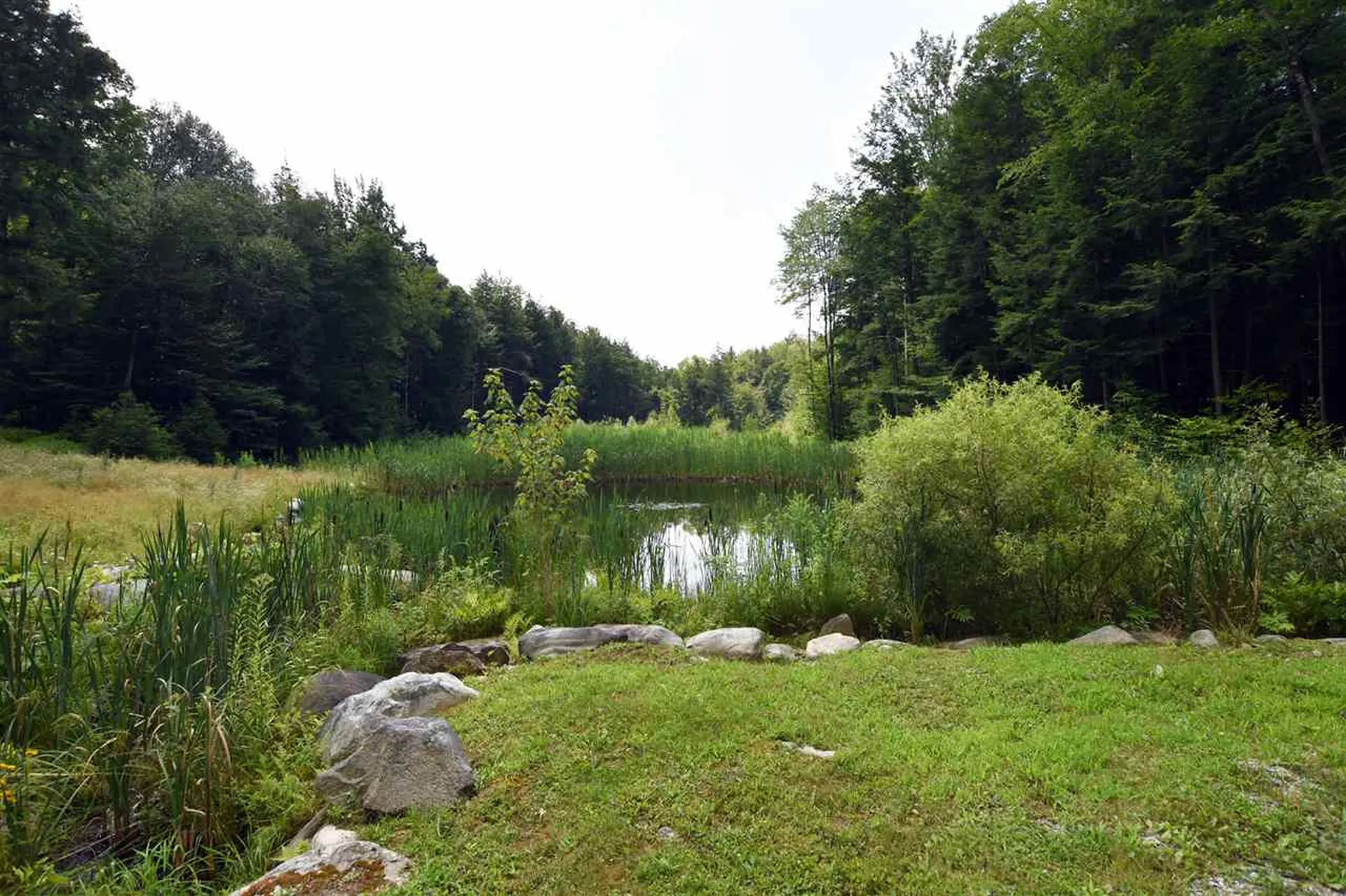 256 Chittenden Road Chittenden VT 05737