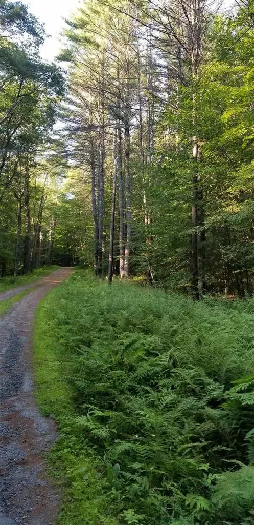 00 Meadow Lane Weathersfield VT 05156