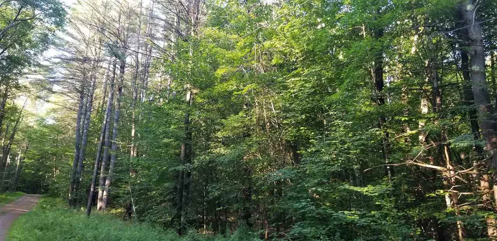 00 Meadow Lane Weathersfield VT 05156