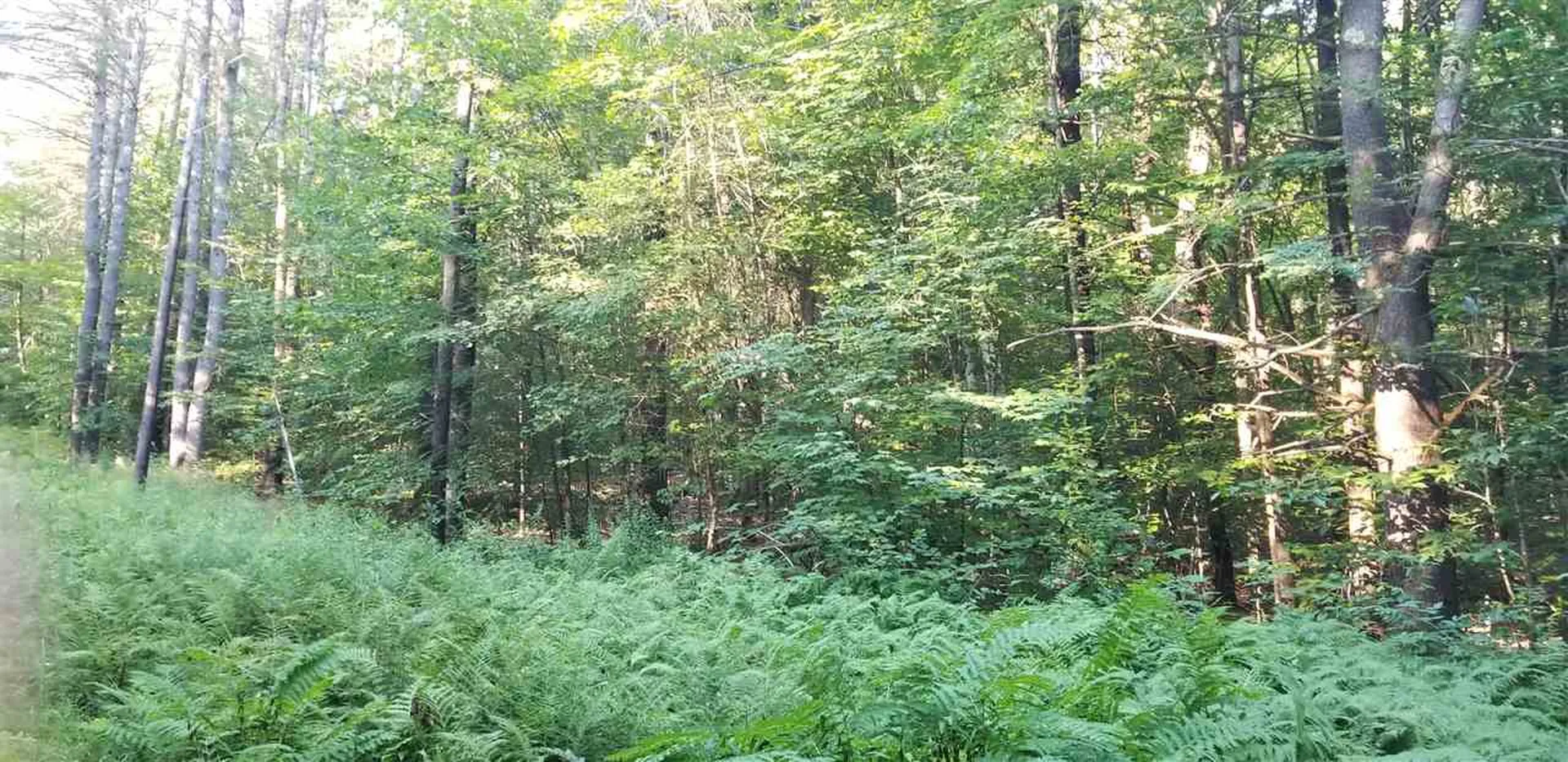00 Meadow Lane Weathersfield VT 05156