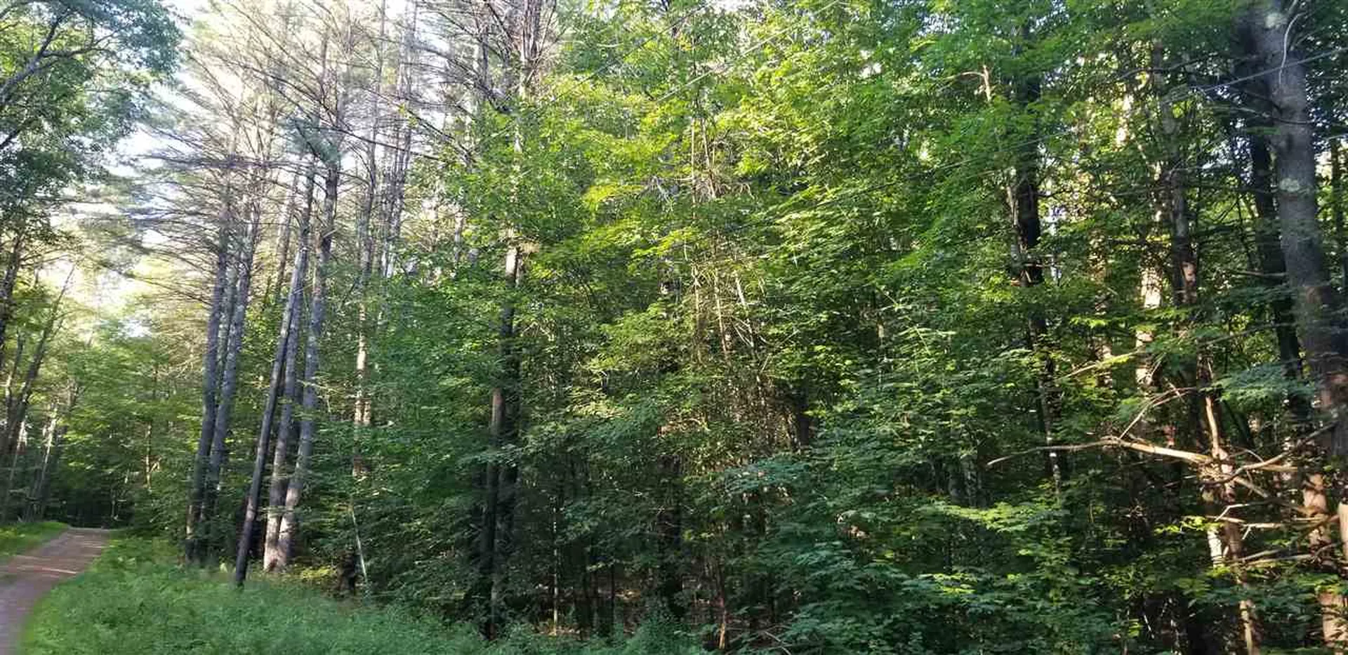 00 Meadow Lane Weathersfield VT 05156