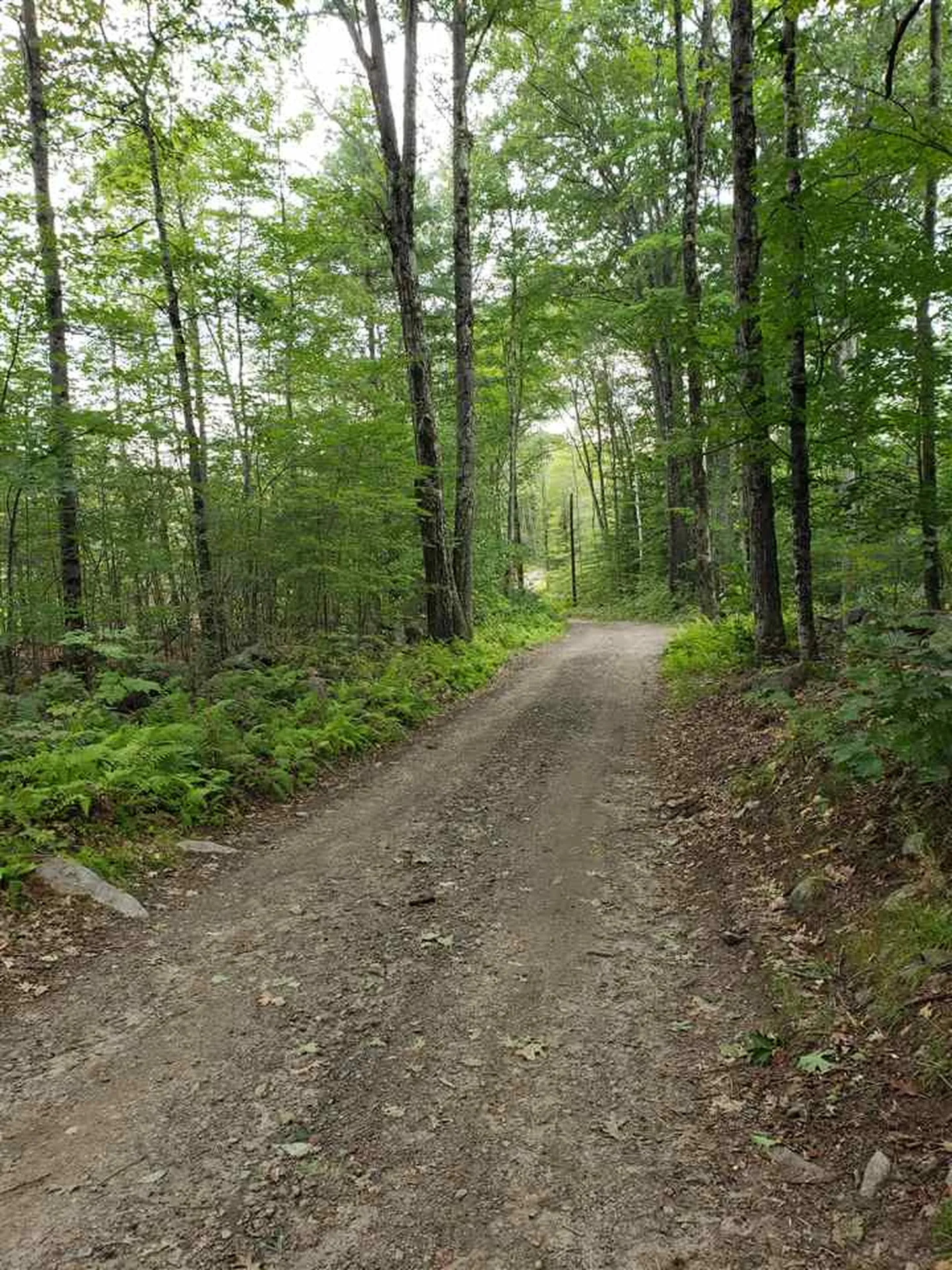 329 Switzer Road Bennington NH 03442