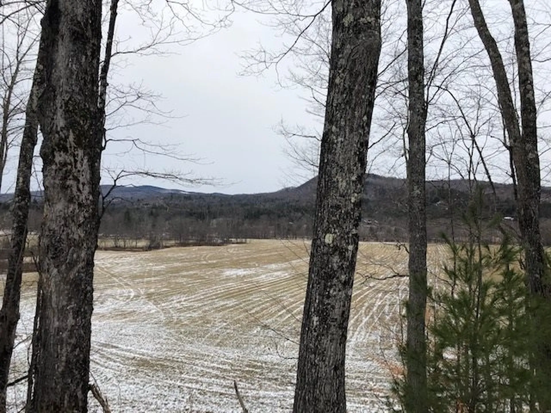1831 Nh Route 175 Thornton NH 03285