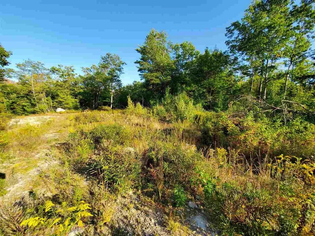67 Berry Road New Durham NH 03855