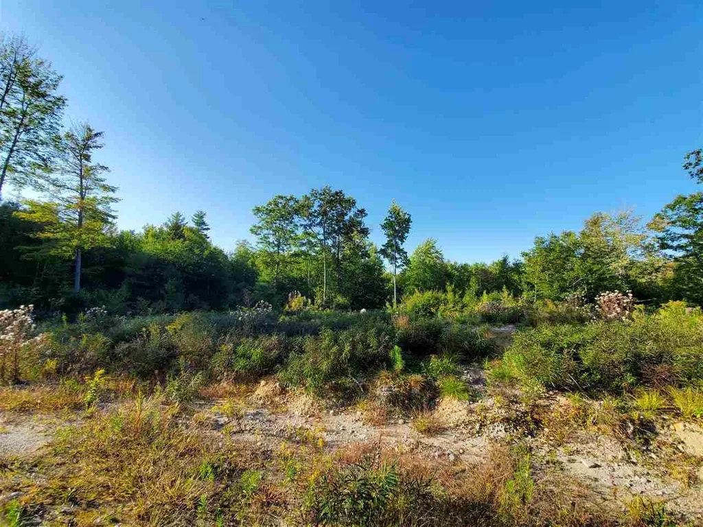 67 Berry Road New Durham NH 03855