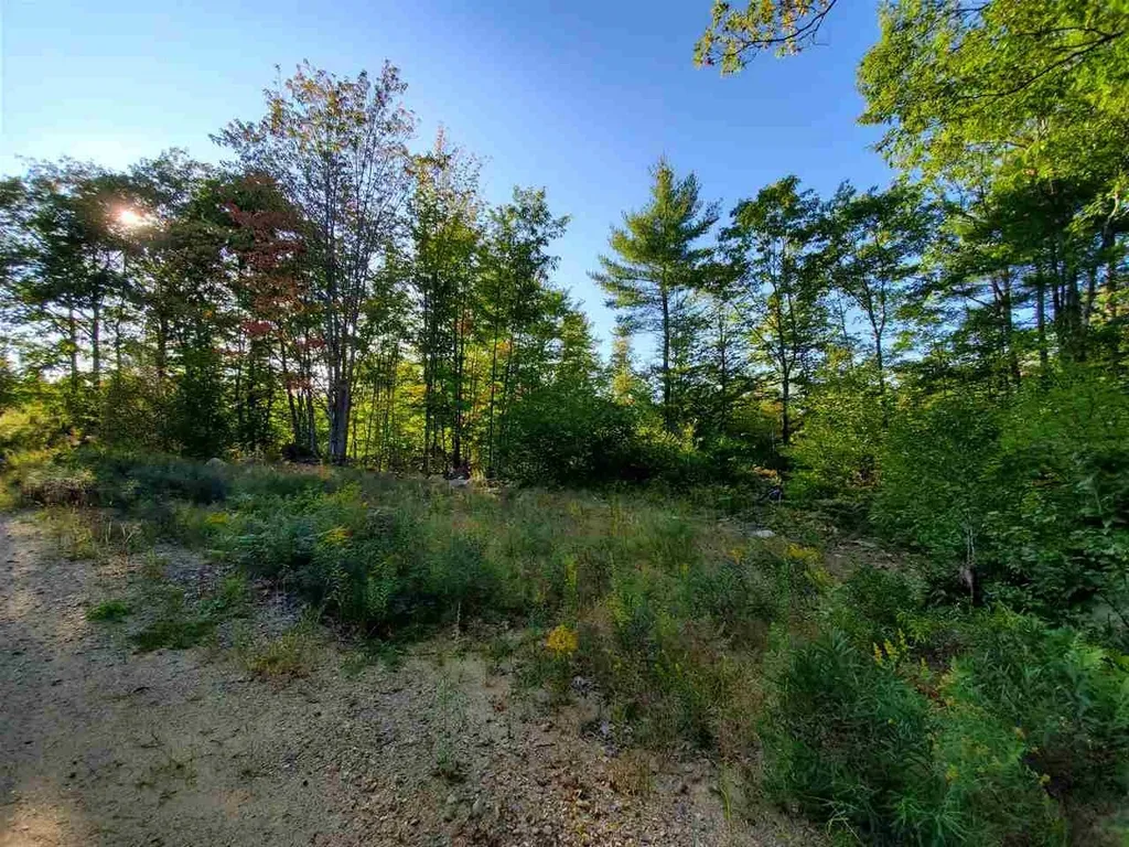 67 Berry Road New Durham NH 03855