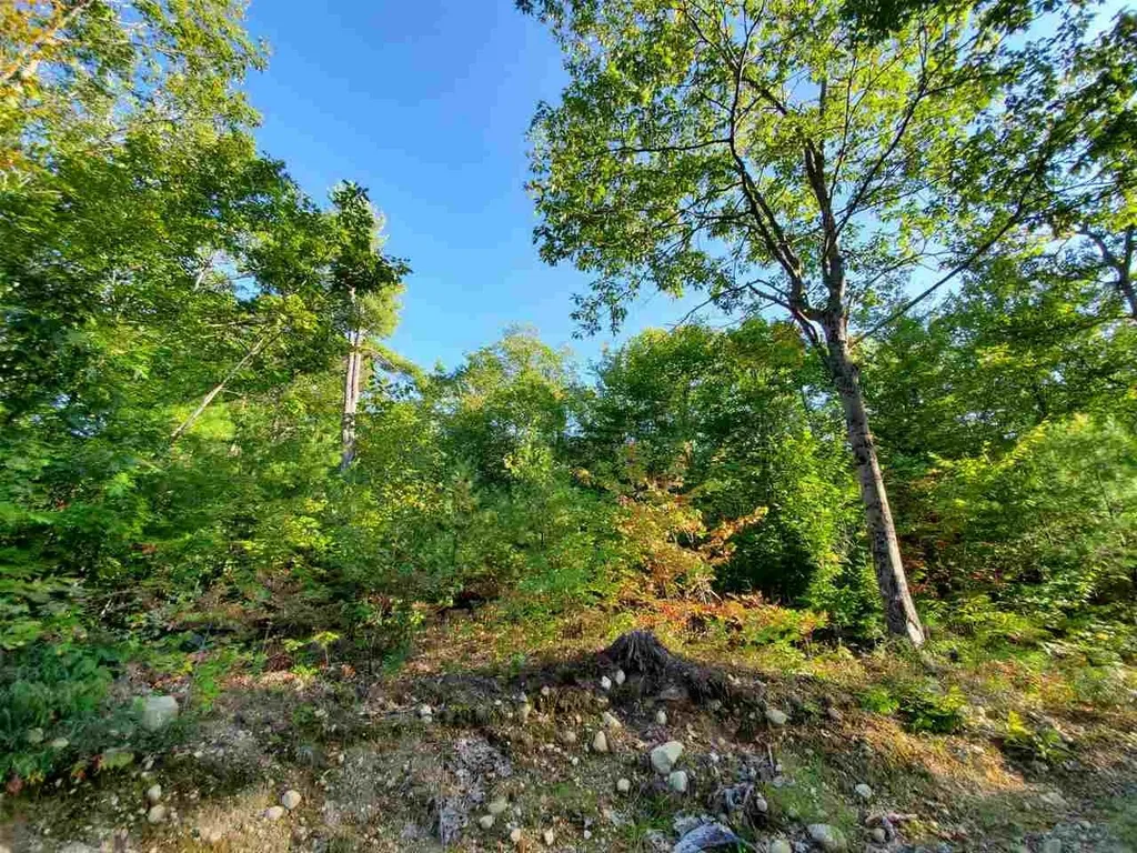 67 Berry Road New Durham NH 03855