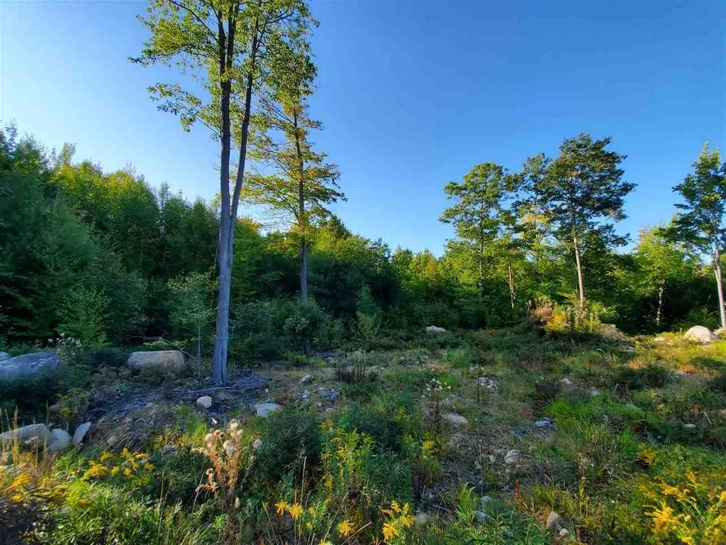67 Berry Road New Durham NH 03855