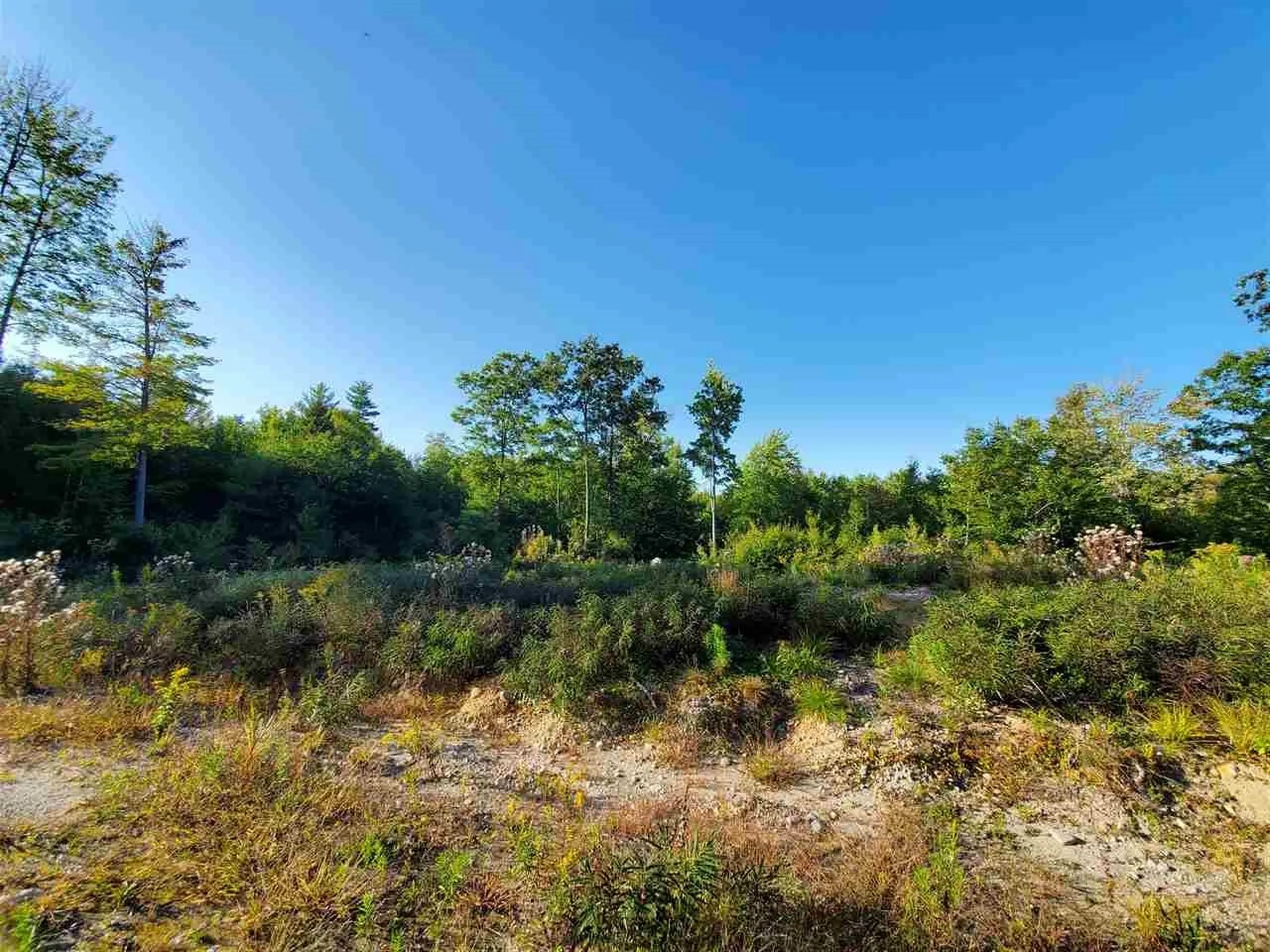67 Berry Road New Durham NH 03855