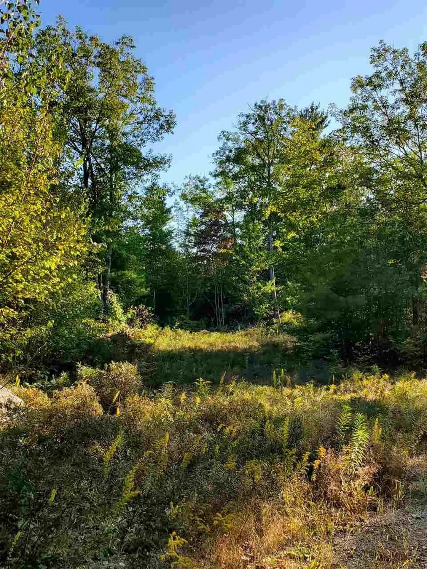 67 Berry Road New Durham NH 03855