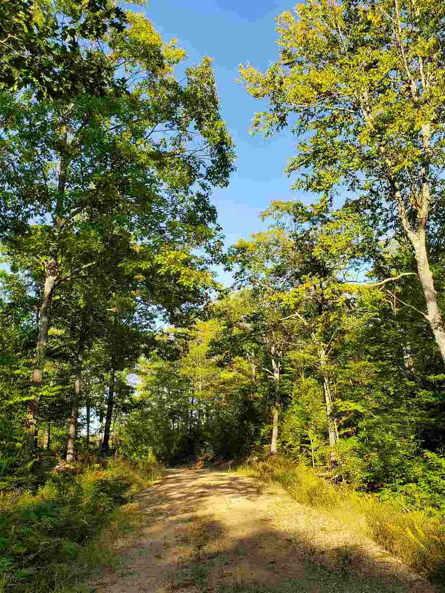 67 Berry Road New Durham NH 03855