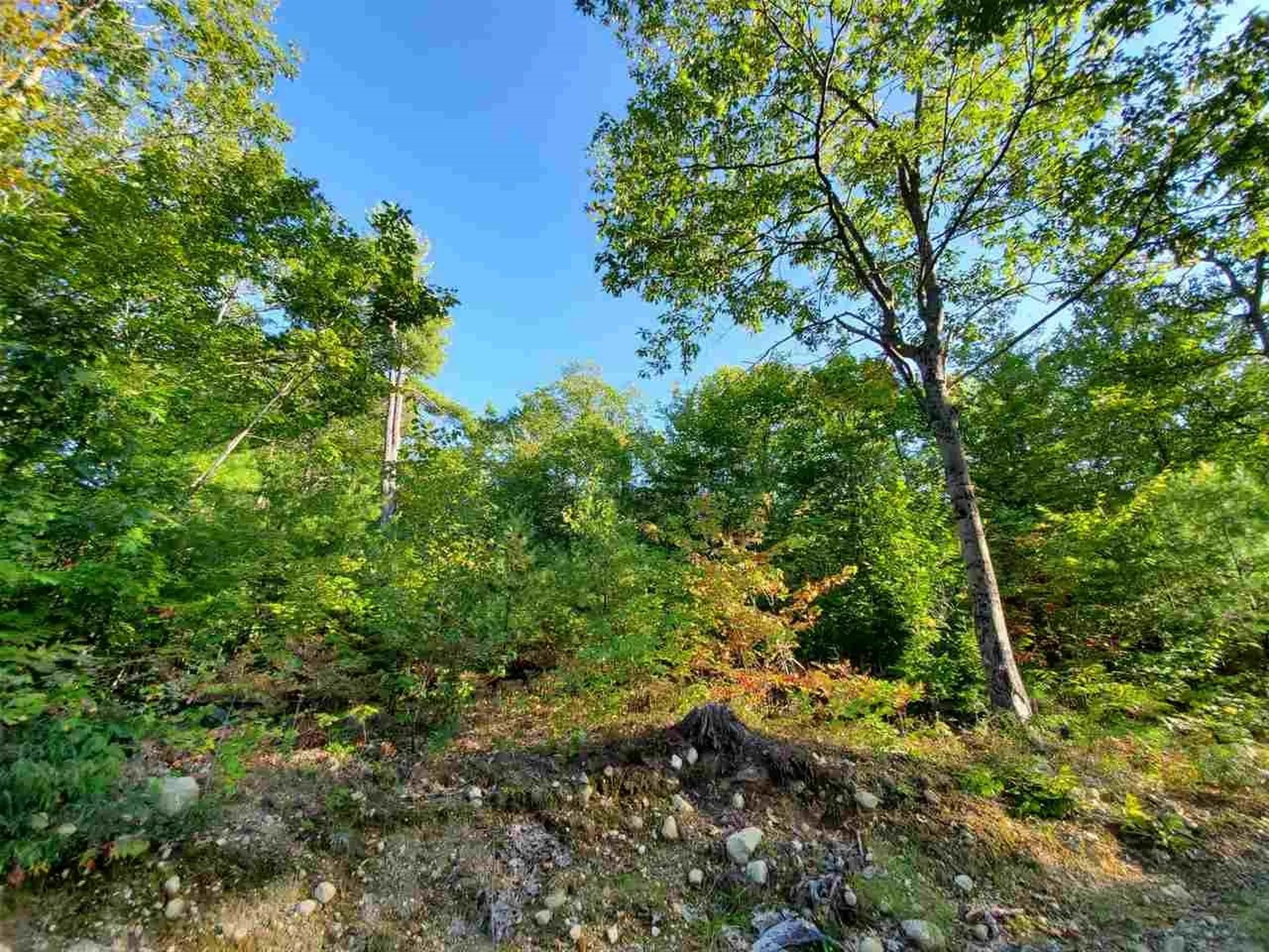 67 Berry Road New Durham NH 03855