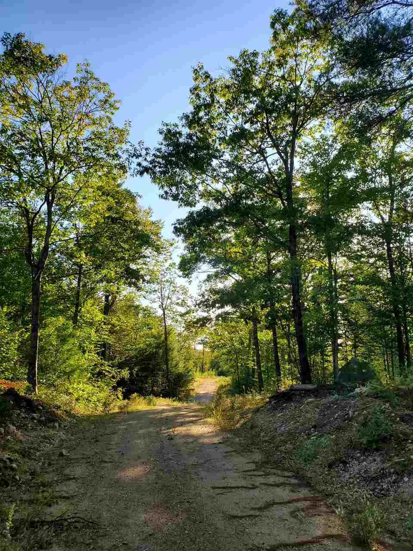 67 Berry Road New Durham NH 03855