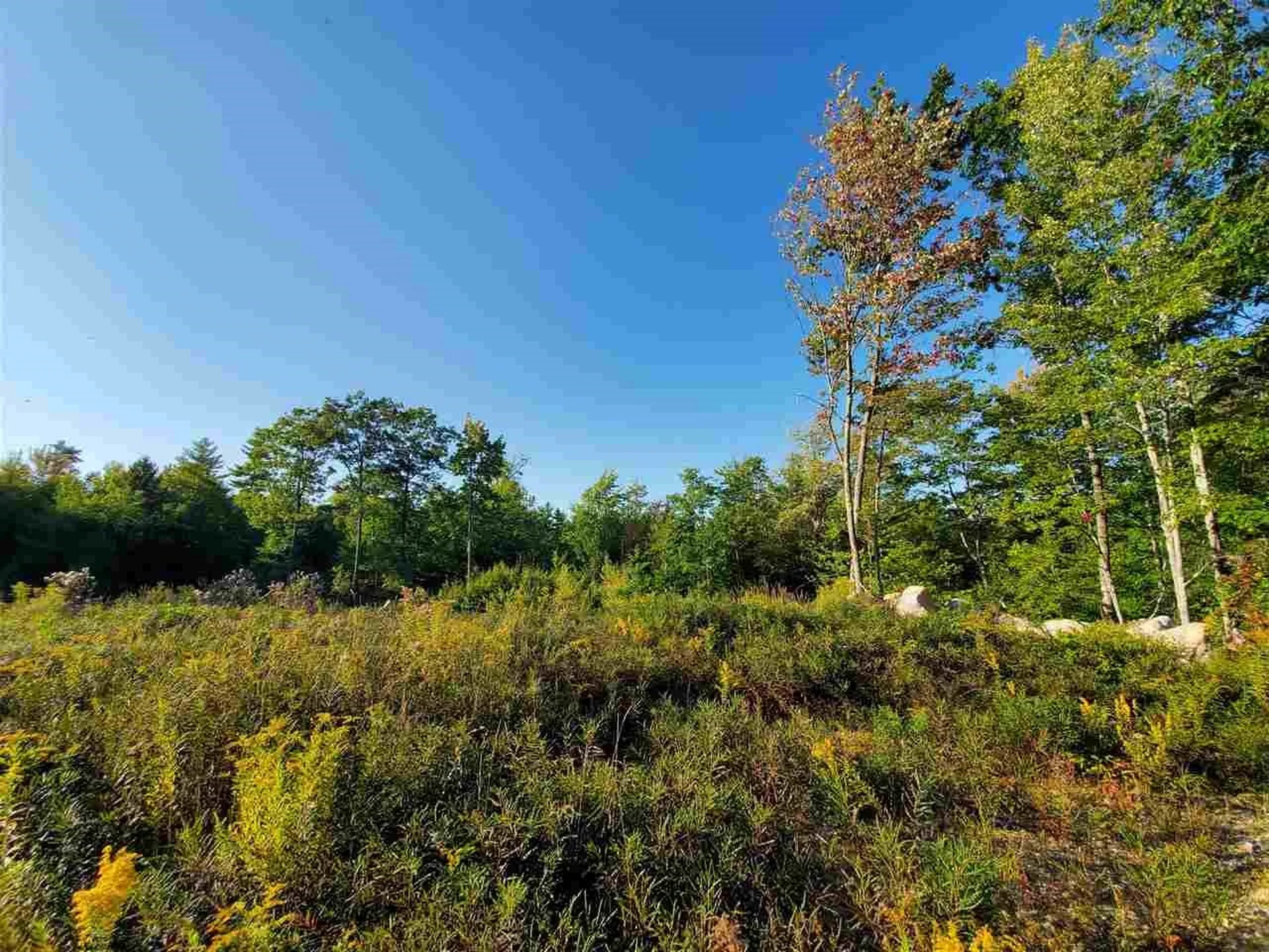 67 Berry Road New Durham NH 03855
