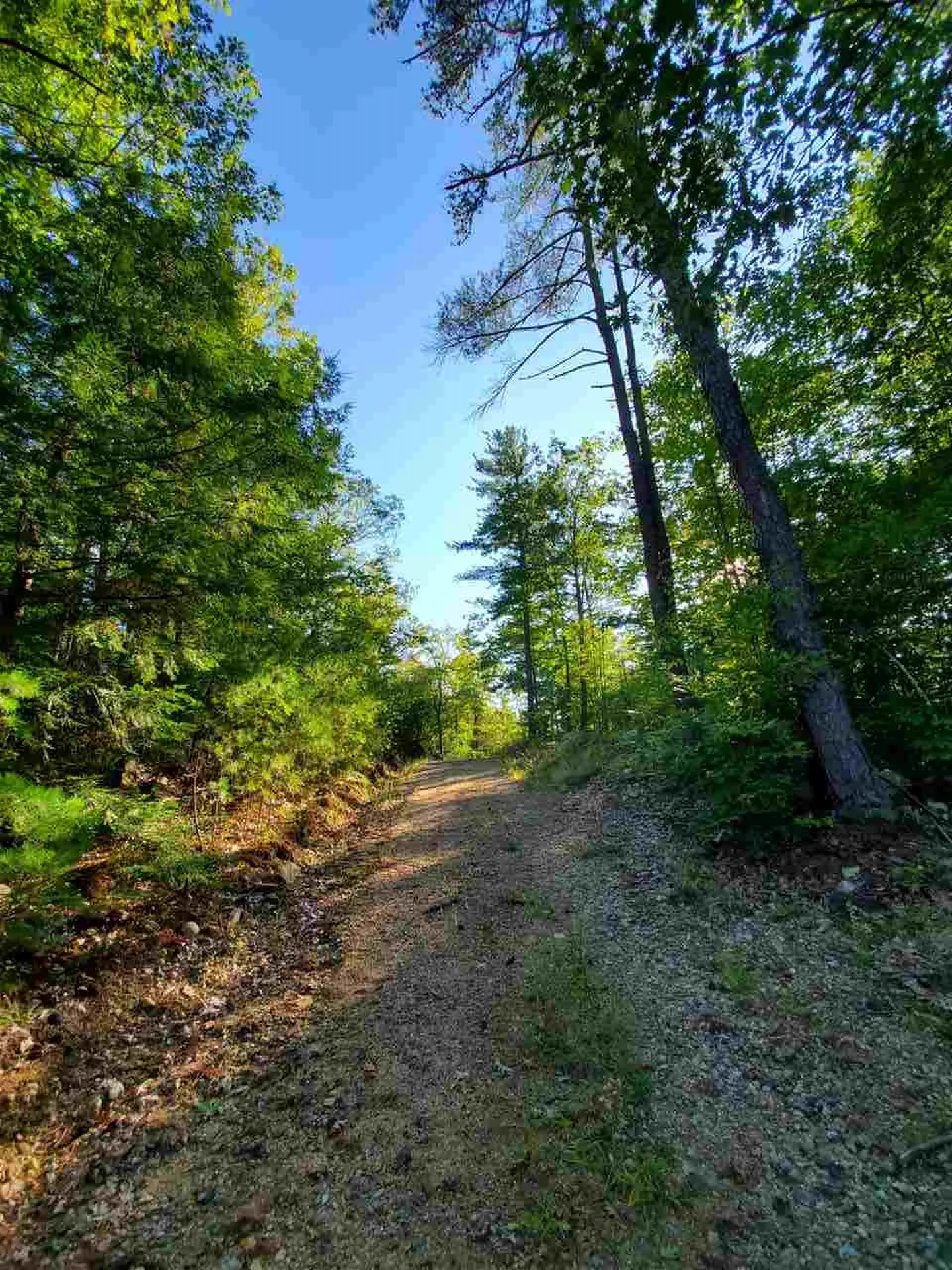 67 Berry Road New Durham NH 03855