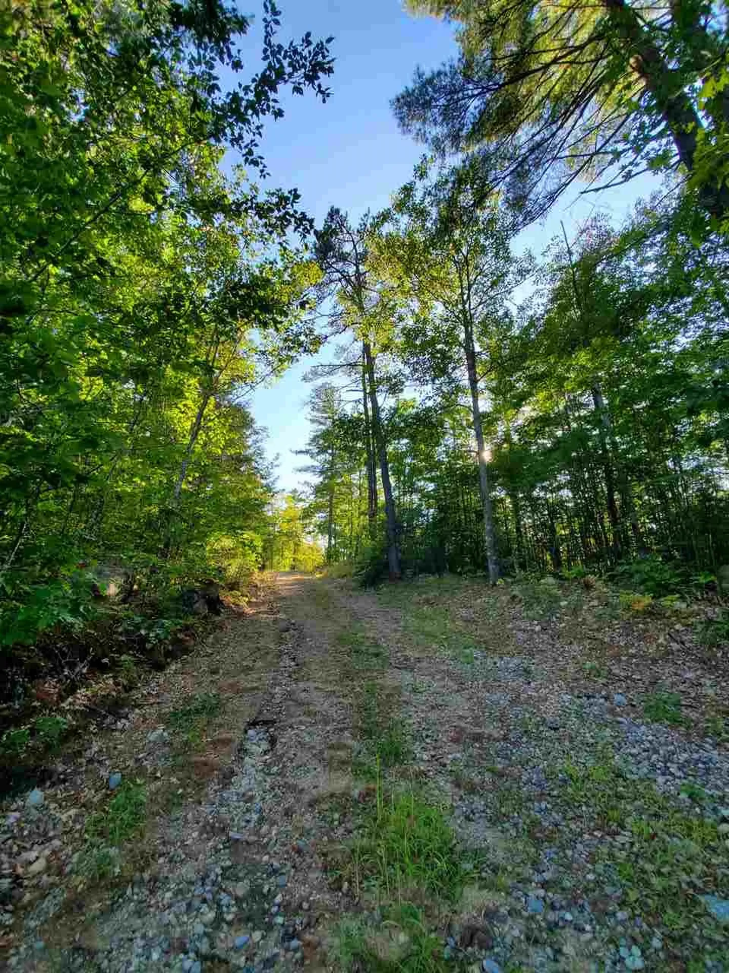 67 Berry Road New Durham NH 03855