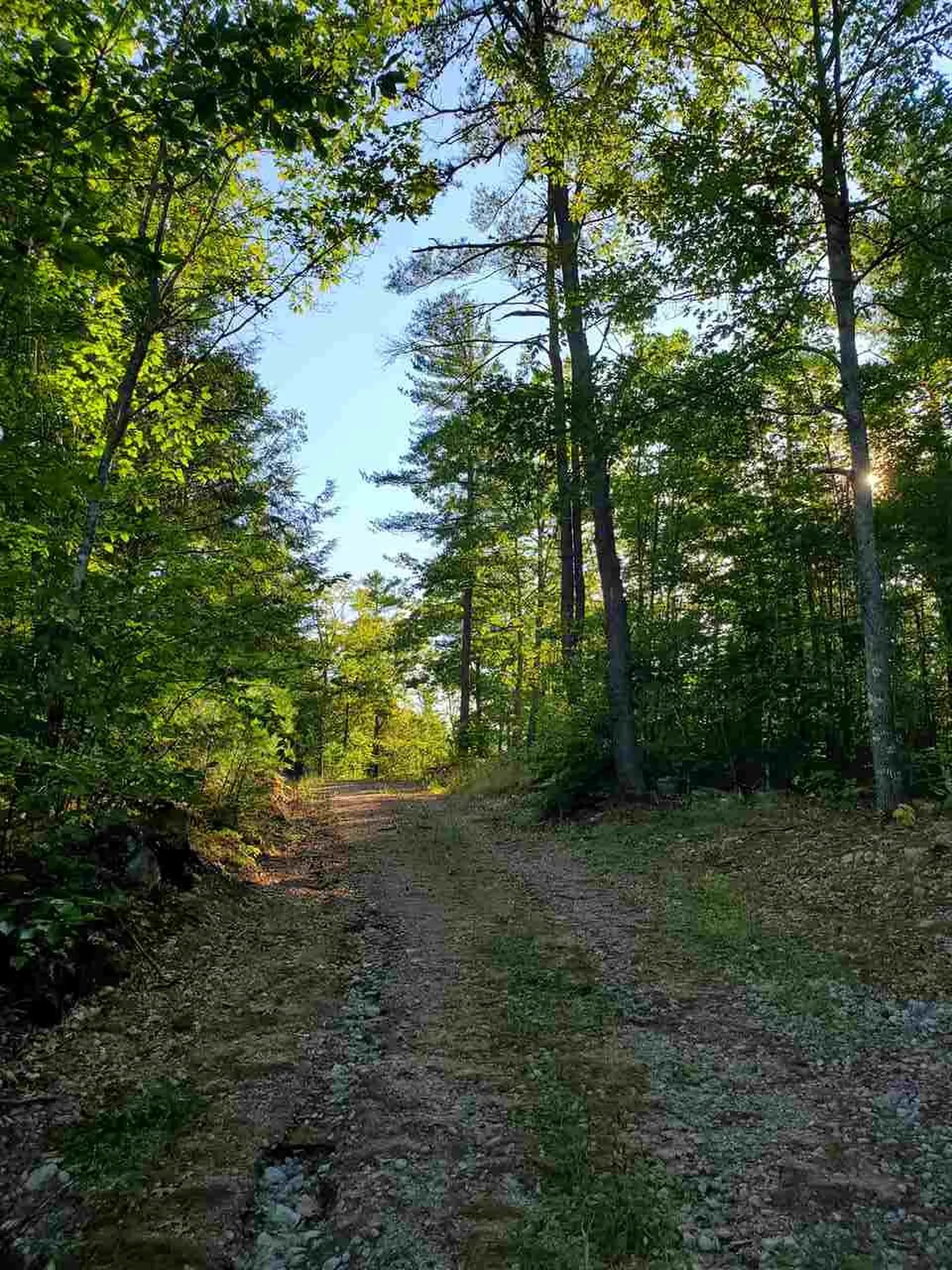 67 Berry Road New Durham NH 03855