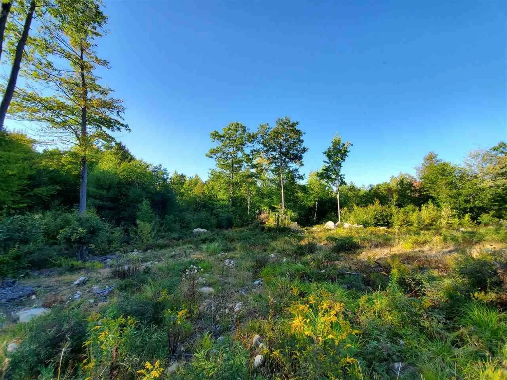 67 Berry Road New Durham NH 03855