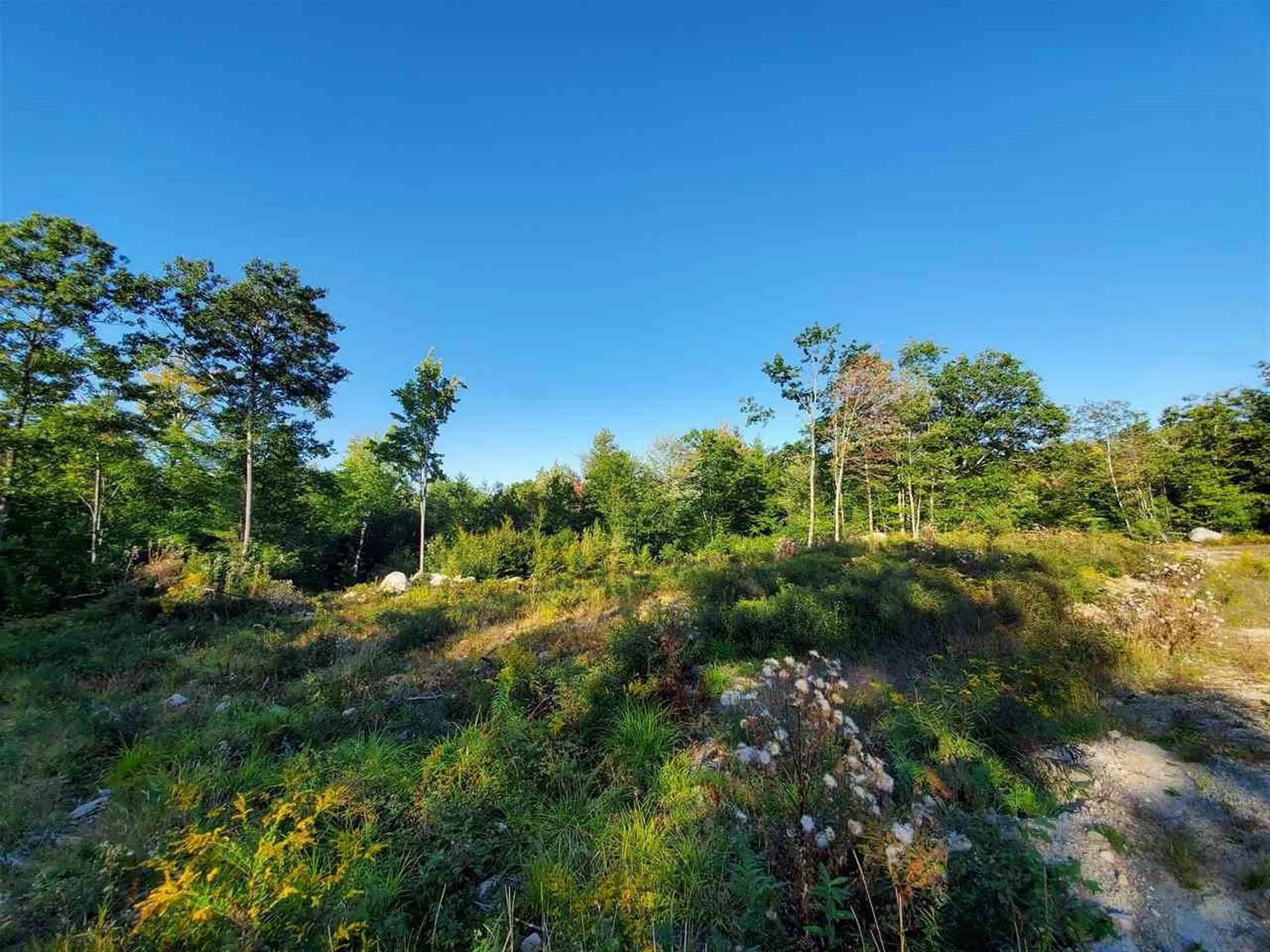 67 Berry Road New Durham NH 03855