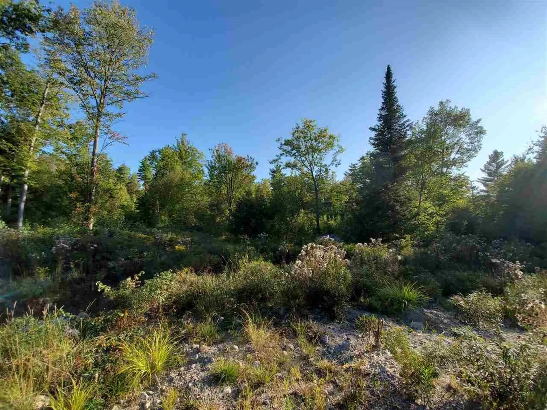 67 Berry Road New Durham NH 03855