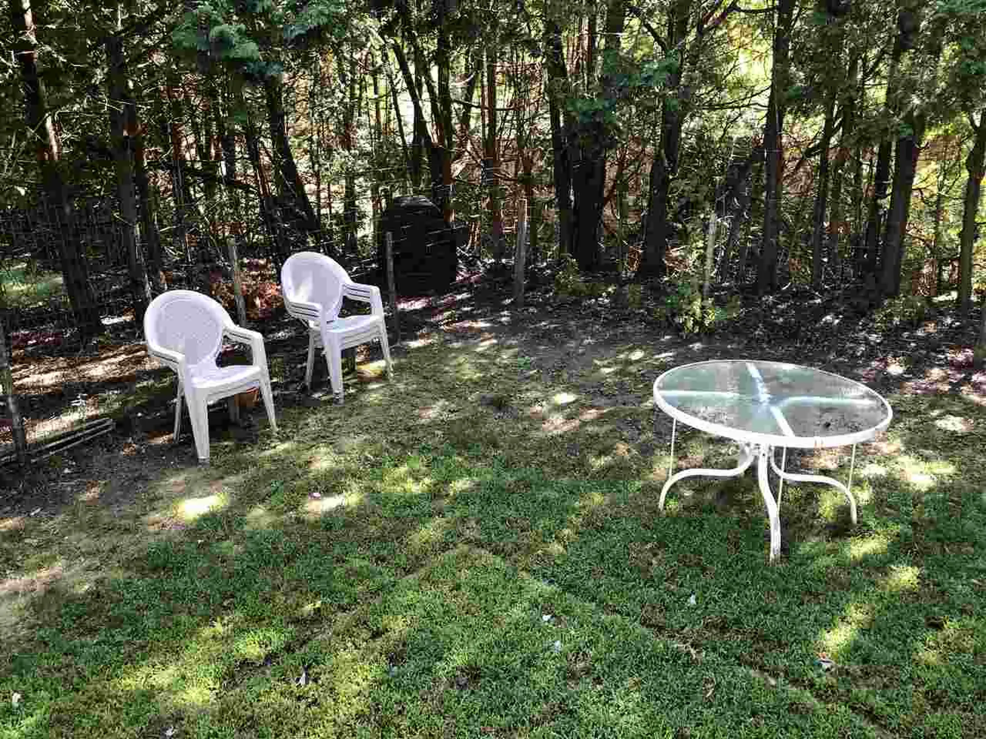 35 Jackson Street Essex VT 05452