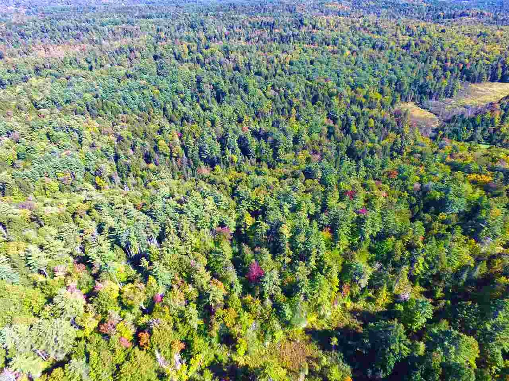 1991 Halls Lake Road Newbury VT 05051