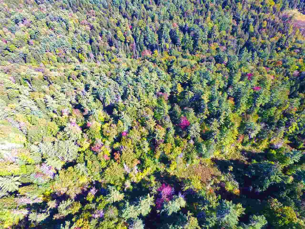 1991 Halls Lake Road Newbury VT 05051
