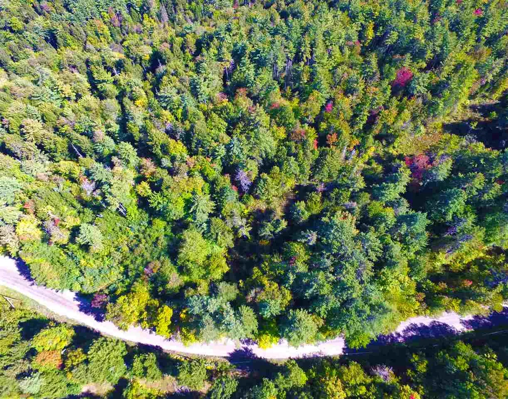 1991 Halls Lake Road Newbury VT 05051