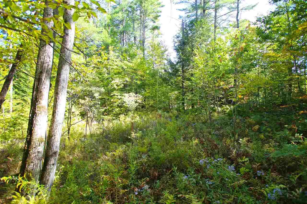 1991 Halls Lake Road Newbury VT 05051