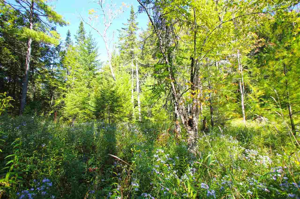 1991 Halls Lake Road Newbury VT 05051