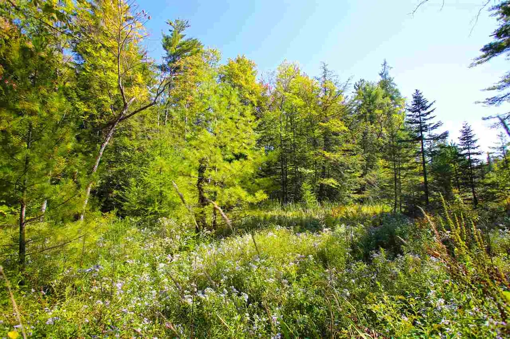 1991 Halls Lake Road Newbury VT 05051